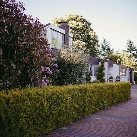 Bed and Breakfast An der Kastanie Wiesmoor Exterior foto